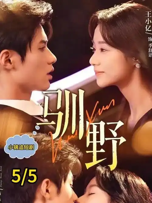 归途列车 热播剧集在线观看